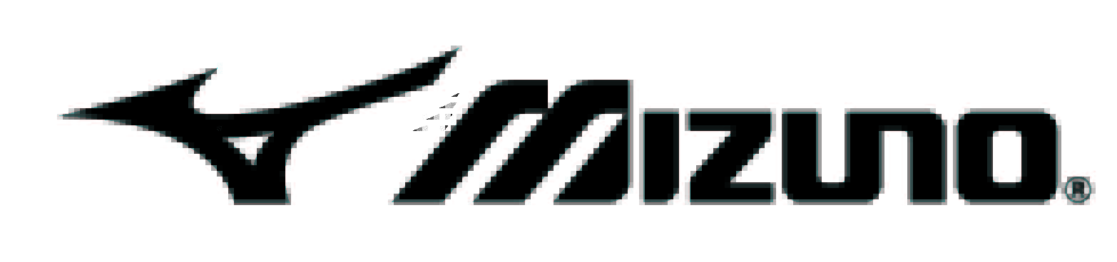 Mizuno logo with text.